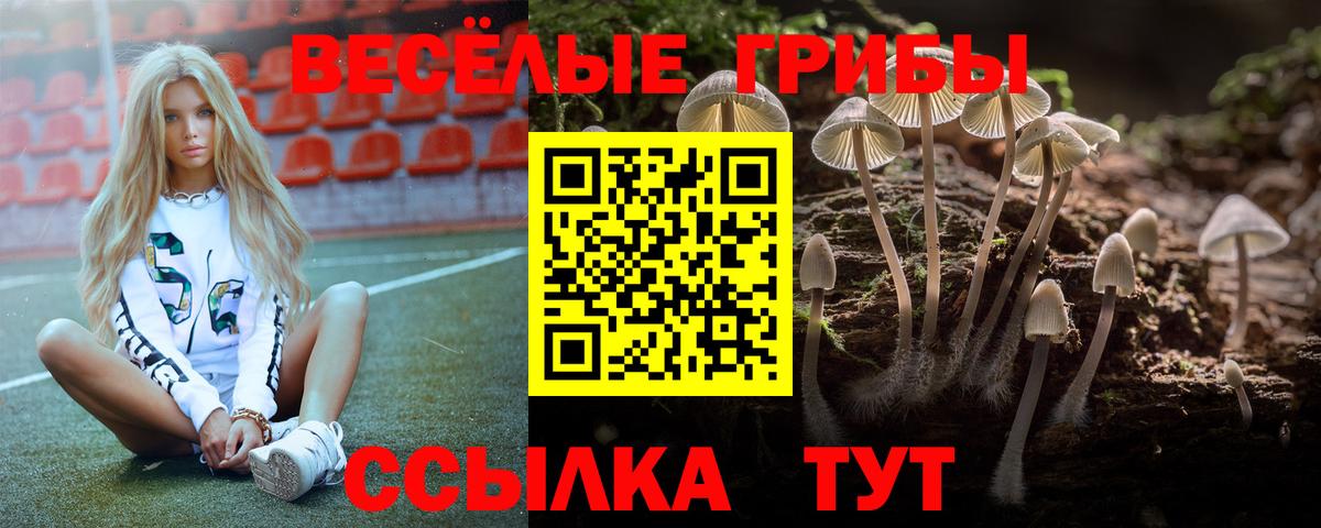Галлюциногенные грибы Cubensis  Вход с VPN  Усинск 